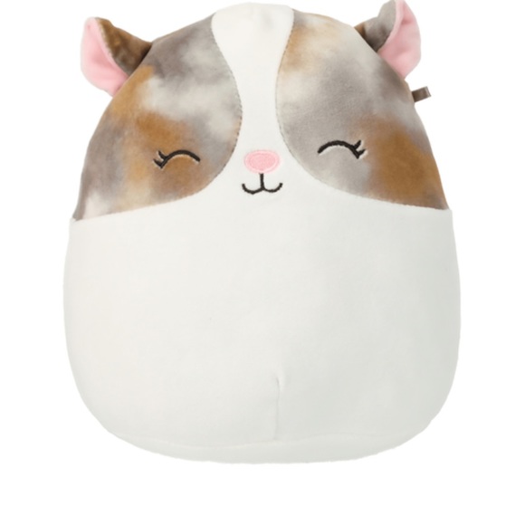 Squishmallows Toys Nwt Pax The Guinea Pig Squishmallow 75 Inches Poshmark